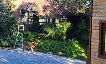 Imagem 4: TERRENO A VENDA EM CACUPÉ FLORIANÓPOLIS -SC