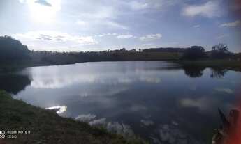 Imagem 7: Fazenda 53 alq. em trindade Go. 7 km este.chão R$: 23.850.000