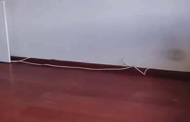 Imagem 8: Casa 3 quartos garagem aeroclube