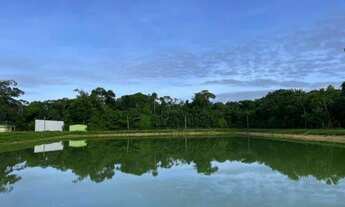 Imagem 3: Vendo Fazenda com 246 Hectares em Itacoatiara/ Pronta Para Diversas Atividades