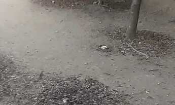 Imagem 5: VENDA !!! FIGUEIRA / M. Couto - N.Iguaçu Casa Figueira/ Miguel Couto ENTRADA DE 75 MIL