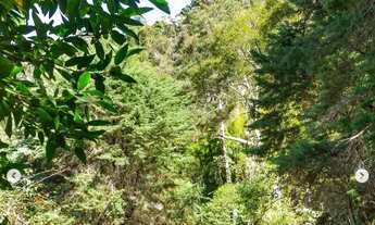 Imagem 6: Terreno à venda na Rua Djanira, Samambaia, Petrópolis - RJ