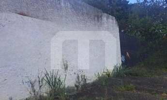 Imagem 5: Terreno de 291m² na Vila Mafra: Oportunidade de Venda ou Locação em São Paulo-SP