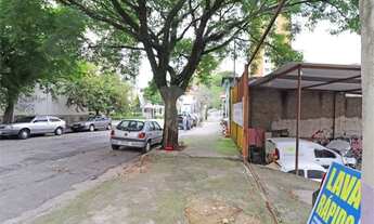 Imagem 7: Terreno à venda ou para locação em Vila Anglo Brasileira - SP