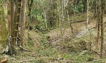 Imagem 7: Chacara belas Áreas Roseira Colombo/ Campina Grande do Sul