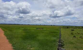 Imagem 4: Fazendacde arrendamento 1.200 hec plantando em pontes de Lacerda MT
