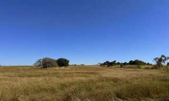 Imagem: Fazenda dupla aptidão (soja e gado) a venda