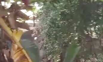 Imagem 3: Troco casa em nova rosa da Penha 2 Cariacica