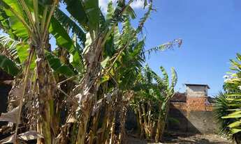 Imagem 4: Vendo este terreno , com 10 M de frente e 25 M de comprimento