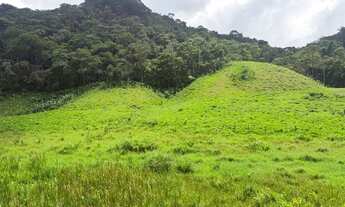 Imagem 5: Sítios a venda em Piraí RJ R$250.000