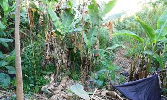 Imagem 5: Lote 550 m² - Centro Viçosa