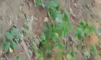 Imagem 5: Vende se um terreno . tamanho 10x30 área plana