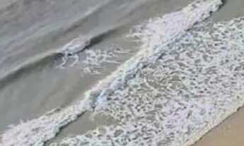 Imagem 6: Apartamento com 4 dormitórios à venda, 246 m² por R$ 4.700.000,00 - Ponta D Areia - São Lu