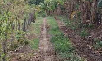 Imagem 7: Área à venda, 24000 m² por R$ 13.500.000,00 - Ipiranga - Louveira/SP