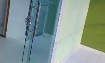 Imagem 6: Bosque das Palmas / Ponta Negra