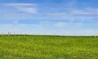 Imagem 2: Lapa, 50 alqueires, à 28 km da cidade, 121 hectares, plantando 17 alqueires, CAR, mapa top