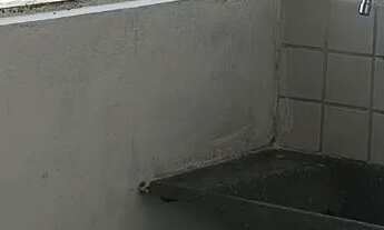 Imagem 7: Apartamento no bairro das indústrias