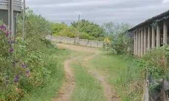 Imagem 3: Área à venda, 24000 m² por R$ 13.500.000,00 - Ipiranga - Louveira/SP