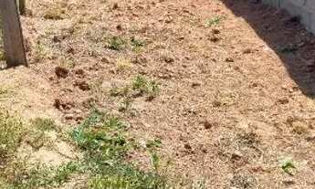 Imagem 7: Lote em Piedade, SP