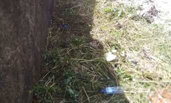 Imagem 2: Vendo dos lotes altos do Jaguarema