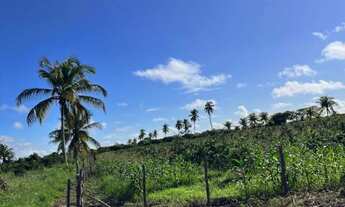 Imagem 7: Vendo Sítio Chácara com venda por R$800.000