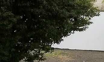 Imagem 7: Casa à venda no Santa Mônica