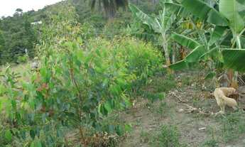 Imagem 3: Fazenda com 10 hectare de terra