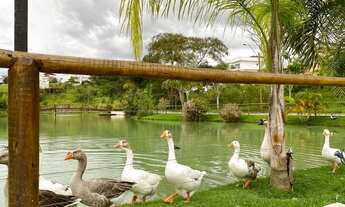 Imagem 3: Excelente terreno para venda possui 290 metros quadrados no Vale dos Cristais - Macaé, RJ