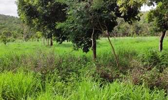 Imagem: Vendo fazenda 1.800.000 31alq