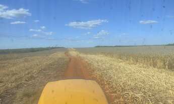 Imagem 2: Vendo fazenda em Pedro Afonso Tocantins 445 alq