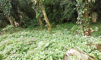 Imagem 2: Terreno em Boiçucanga