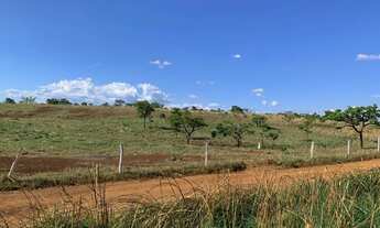 Imagem 3: Área Comer. BR 060 5000 M². Prox, Anápolis