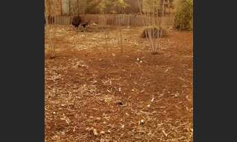 Imagem: Lote/Terreno para venda tem 80 metros quadrados