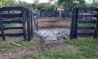 Imagem 2: Fazenda em Teresina-PI