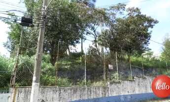 Imagem 5: São Paulo - Terreno Padrão - Tucuruvi