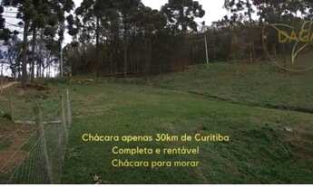 Imagem 4: CHACARA A VENDA EM CURITIBA 30KM REGIÃO METROPOLITÂNA