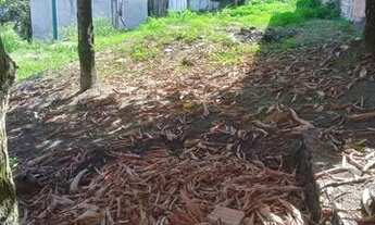 Imagem 2: Venda de terreno