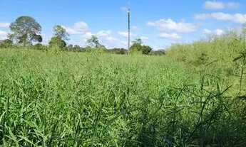 Imagem: Sitio em Gurinhatan de 9.11 hectares valor