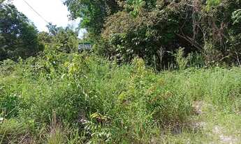 Imagem 2: Vendo terreno em alter do chao