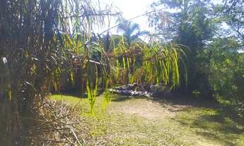Imagem 2: LOTES A VENDA EM IBIÚNA-SP LUGAR TRANQUILO PARA MORAR OU PASSAR FINAL DE SEMANA