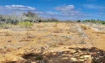 Imagem 7: Roça no Salitre Povoado de Braúna Juazeiro BA www.paulobarrosimoveis.com