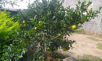 Imagem 5: Oportunidade de sair do aluguel