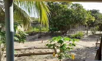 Imagem 4: Casa no Jardim das Copaíbas (Distrito Industrial