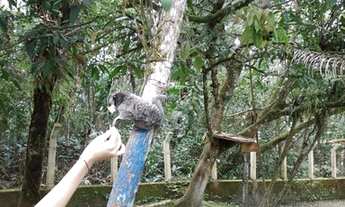 Imagem 5: ITANHAÉM - Chácara - Jardim São Fernando