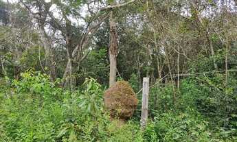 Imagem 3: São Gonçalo do Rio Preto , comunidade do Capão Bonito
