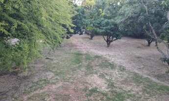 Imagem 5: Fazenda em Teresina-PI