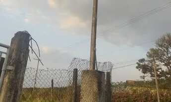 Imagem 3: C- Terrenos plainos