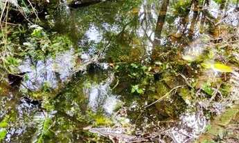 Imagem 7: EXCELENTE CHÁCARA EM EMBU GUAÇU