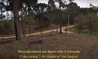 Imagem 7: CHACARA A VENDA EM CURITIBA 30KM REGIÃO METROPOLITÂNA