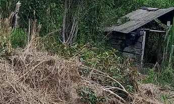 Imagem 6: Vende-se terreno no interior..